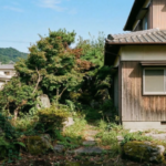 徳島県の住宅街にある庭解体前の様子。生い茂った庭木や大きな庭石が残る管理の行き届かなくなった空き家と庭の風景