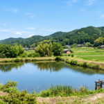 徳島県内の田園風景にある古い農業用ため池と青空