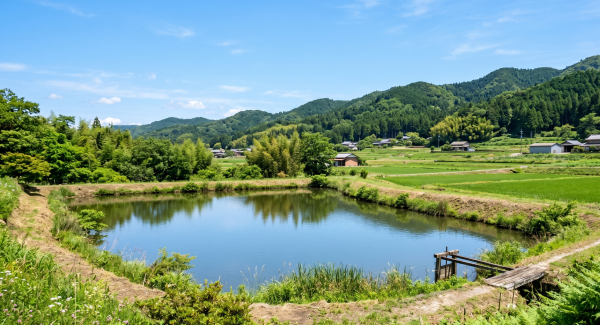 徳島県内の田園風景にある古い農業用ため池と青空